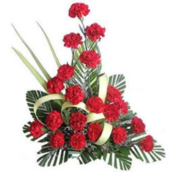 Tender Best Wishes Red Carnation Flowers Collection